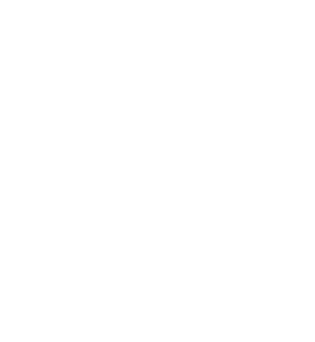 OWASP GenAI Security Project logo